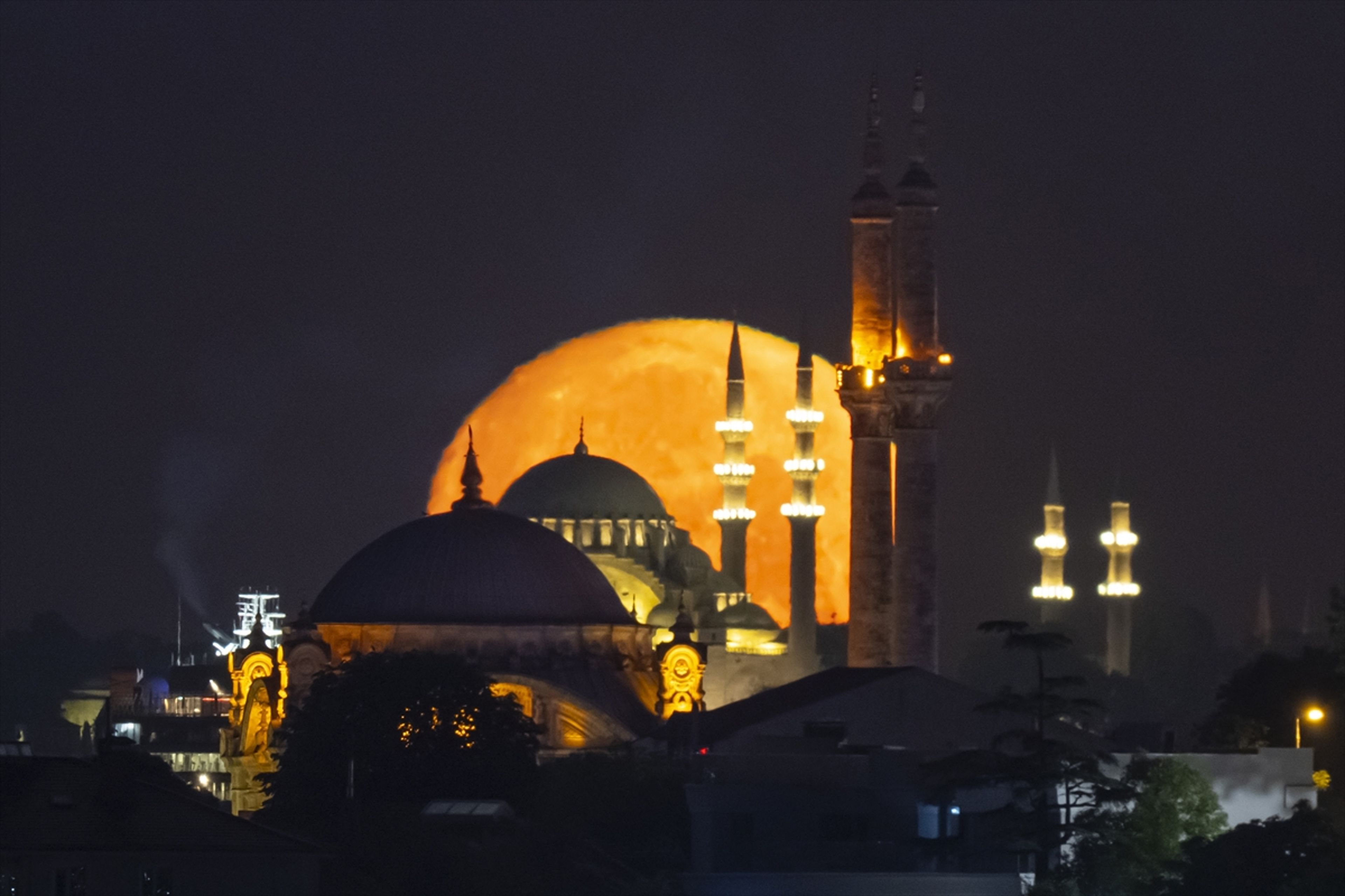 Galeri Fotoğrafı