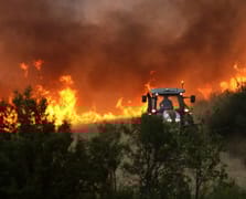 Bolivya'da orman yangınlarıyla mücadele için acil durum ilan edildi