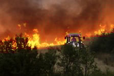 Bolivya'da orman yangınlarıyla mücadele için acil durum ilan edildi