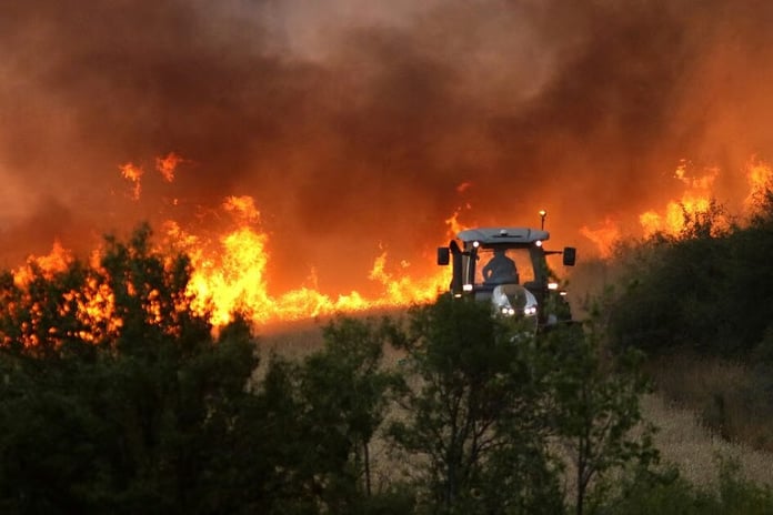 Bolivya'da orman yangınlarıyla mücadele için acil durum ilan edildi