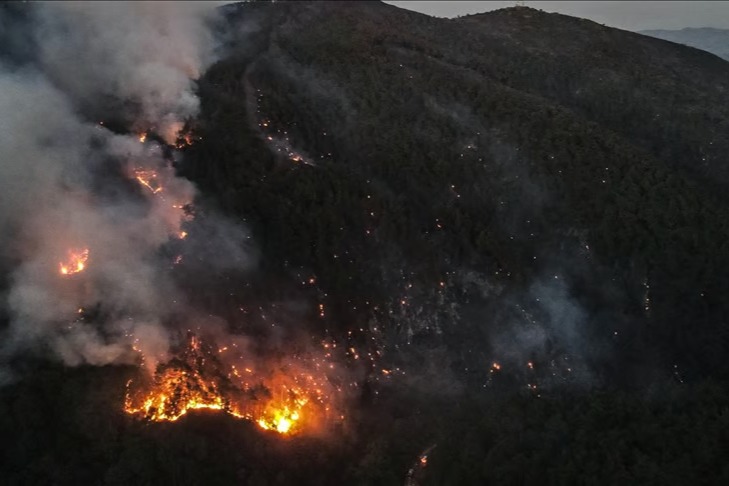 Syria Seeks EU Help As Latakia Wildfires Spread