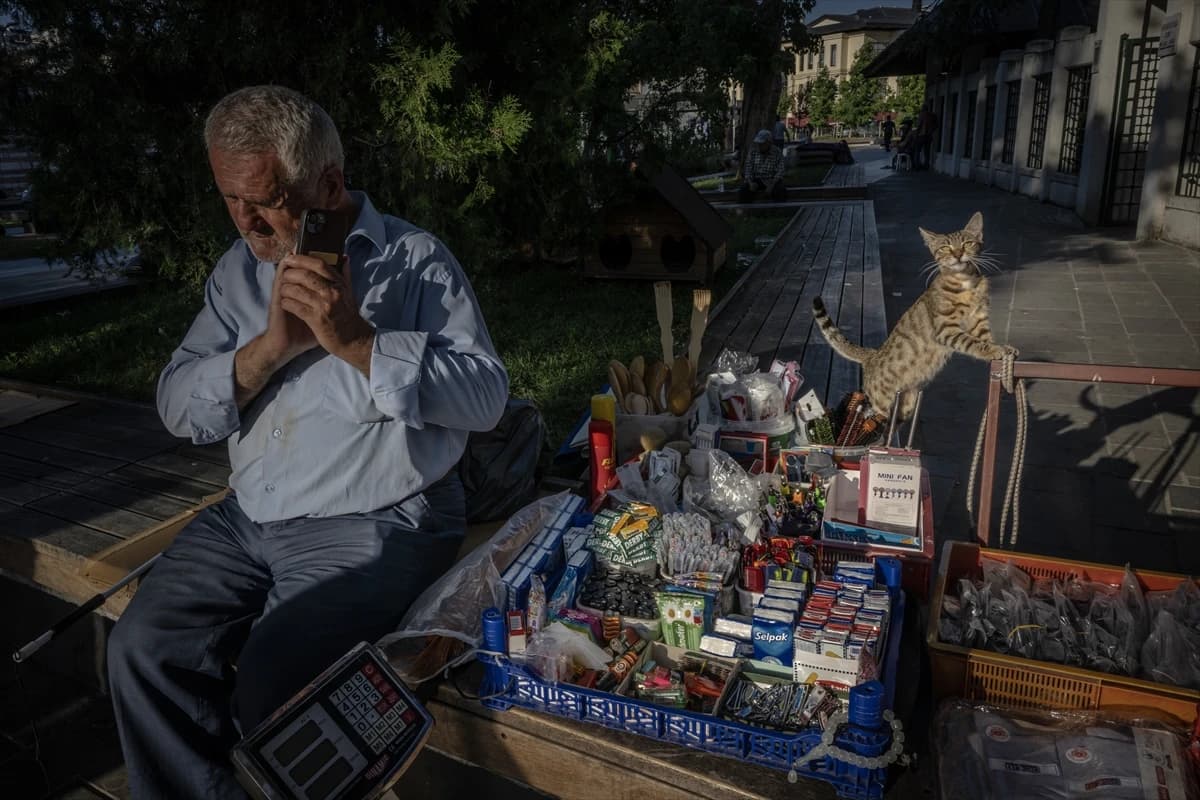 Megakentin ayrılmaz parçası: İstanbul kedileri