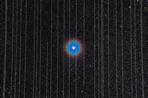 Uzaydaki uyduların üçte ikisi artık Elon Musk'ın kontrolünde