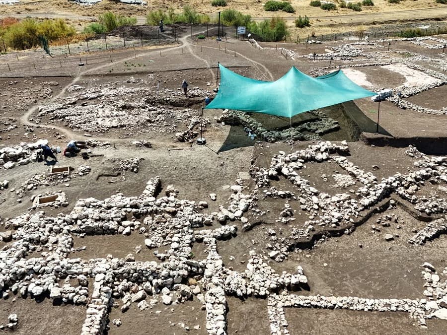 Çayönü Tepesi'nde 9500 yıllık kamusal yapı bulundu