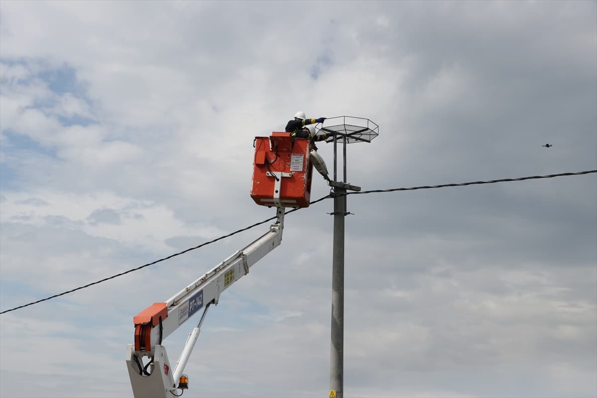 Trakya’da göçmen kuşlara güvenli göç yolu: 1000 özel platform kuruldu