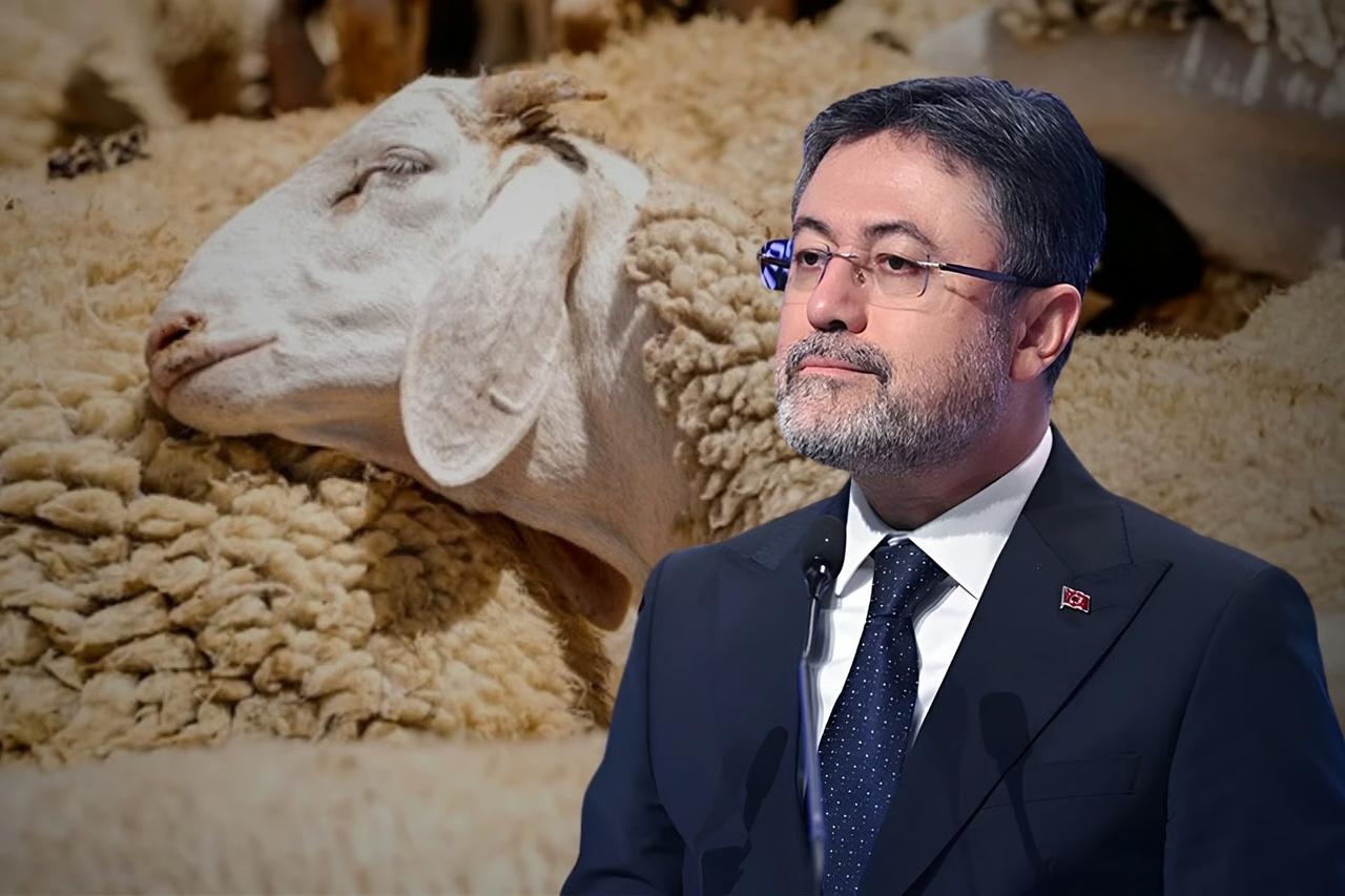 Elde kalan, satılamayan kurbanlıklar ne olacak? Bakan Yumaklı merak edilen detayları açıkladı