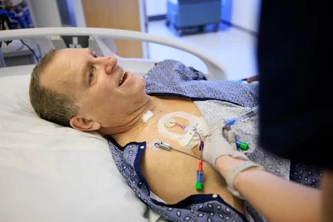Genetiği değiştirilmiş organ nakli