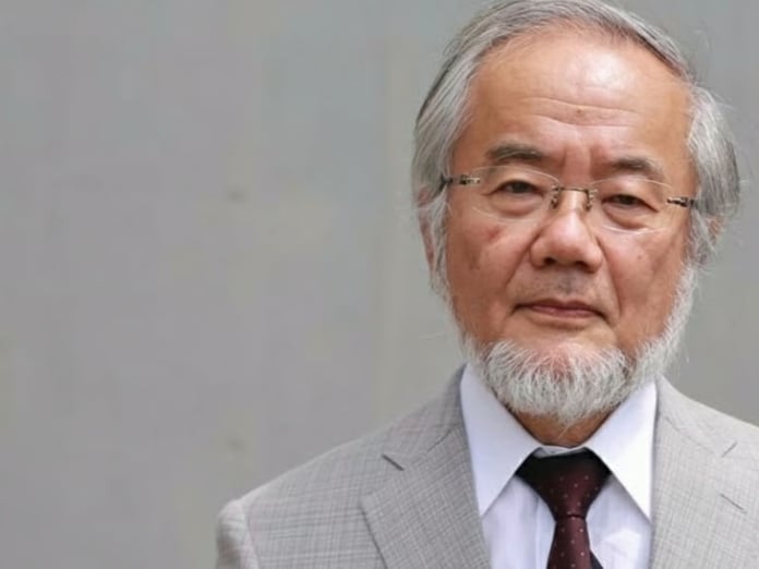 Japon biyolog Yoshinori Ohsumi, otofaji keşfiyle 2016 Nobel Tıp Ödülü'nü kazandı