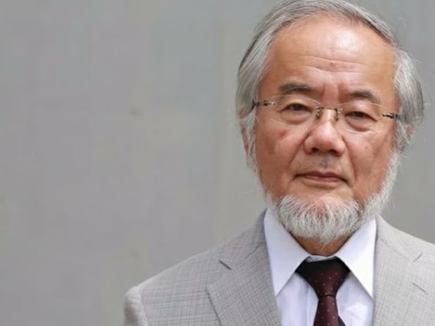 Japon biyolog Yoshinori Ohsumi, otofaji keşfiyle 2016 Nobel Tıp Ödülü'nü kazandı