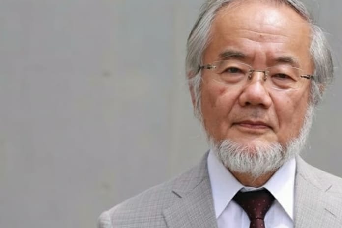 Japon biyolog Yoshinori Ohsumi, otofaji keşfiyle 2016 Nobel Tıp Ödülü'nü kazandı