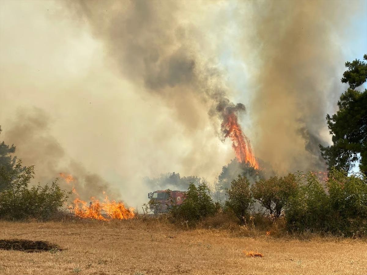 Çanakkale'de orman yangını çıktı