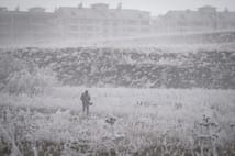 Erzurum, Kars, Ardahan ve Ağrı'da olumsuz hava koşulları etkili oldu