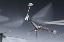 Arı beyinlerinden esinlenen yeni çipler mikro robotlara tam otonomi kazandırıyor