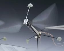 Arı beyinlerinden esinlenen yeni çipler mikro robotlara tam otonomi kazandırıyor