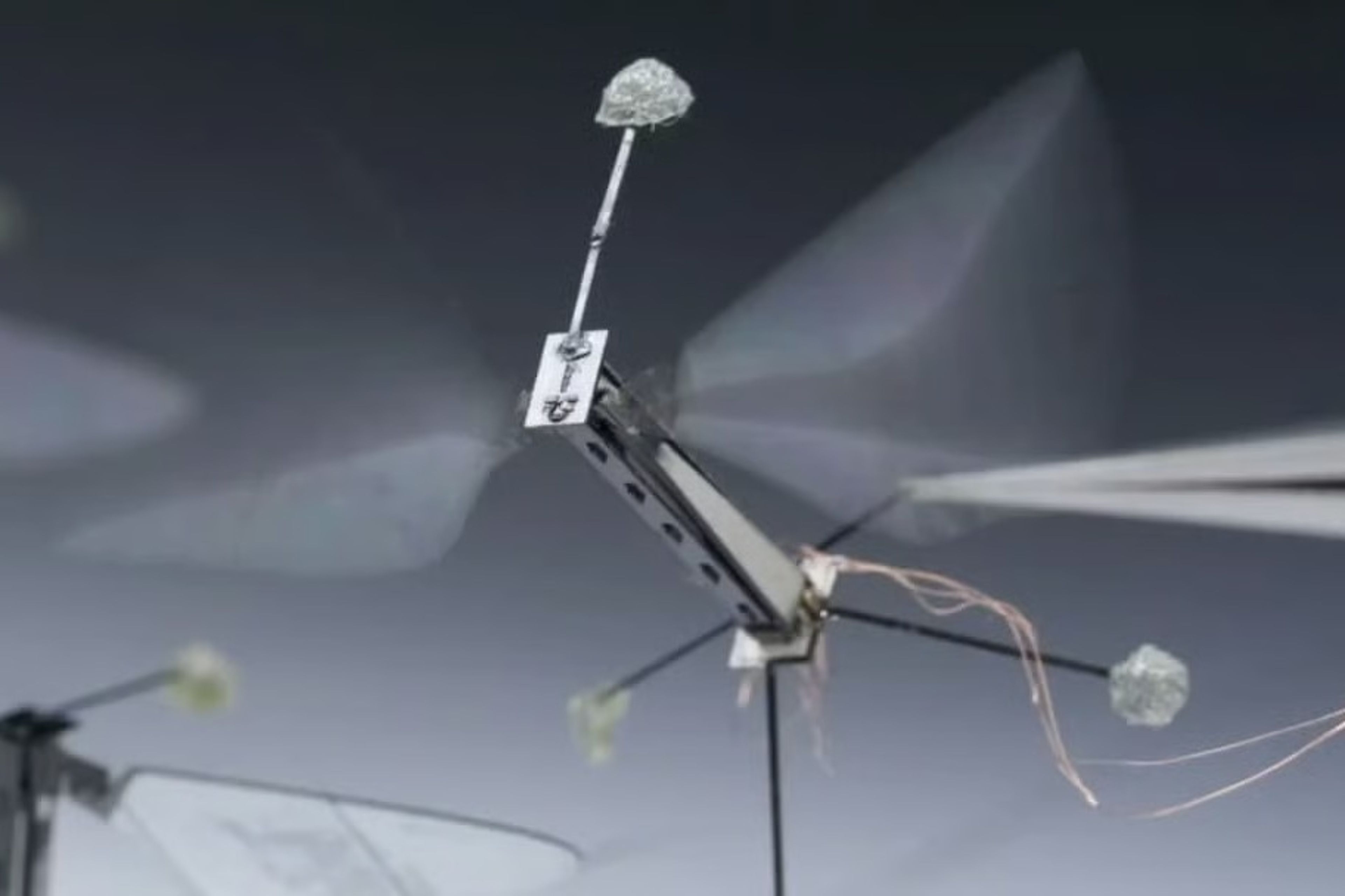 Arı beyinlerinden esinlenen yeni çipler mikro robotlara tam otonomi kazandırıyor