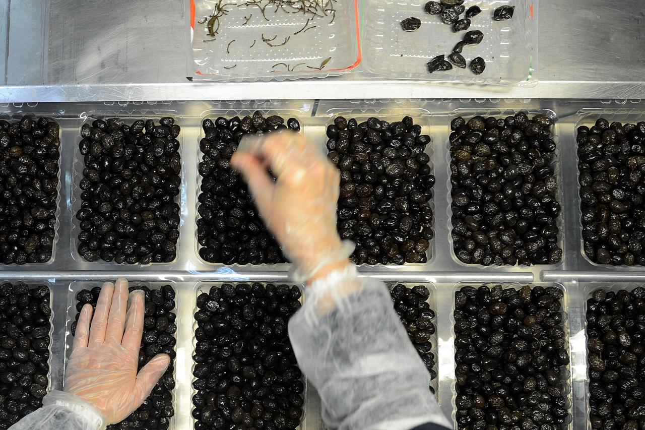 40 yıllık zeytin şirketi iflasın eşiğinde