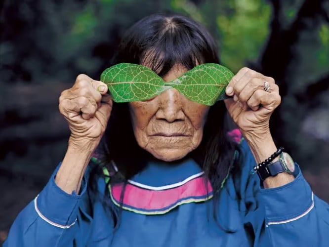 Amazon’un kalbinden dünyaya uzanan sanat