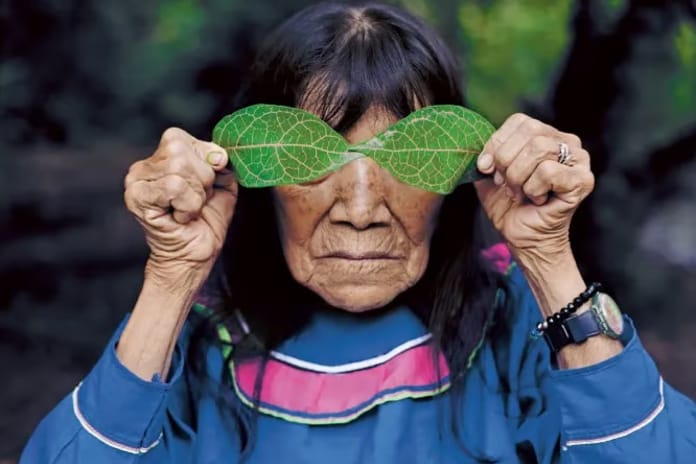 Amazon’un kalbinden dünyaya uzanan sanat