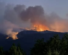 Orman yangınında şehit olanların mesai arkadaşları konuştu