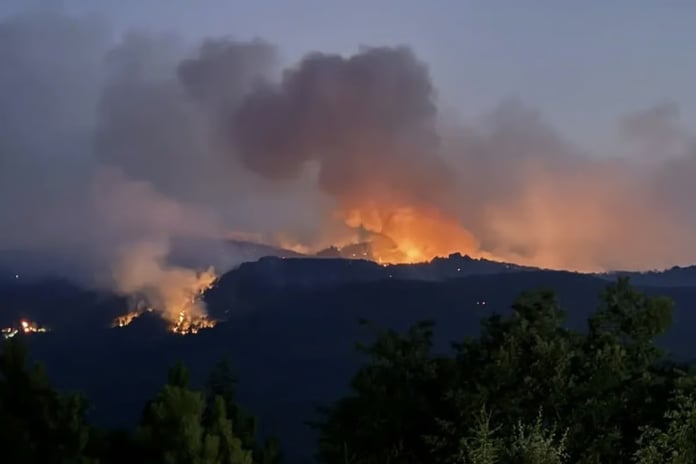 Orman yangınında şehit olanların mesai arkadaşları konuştu