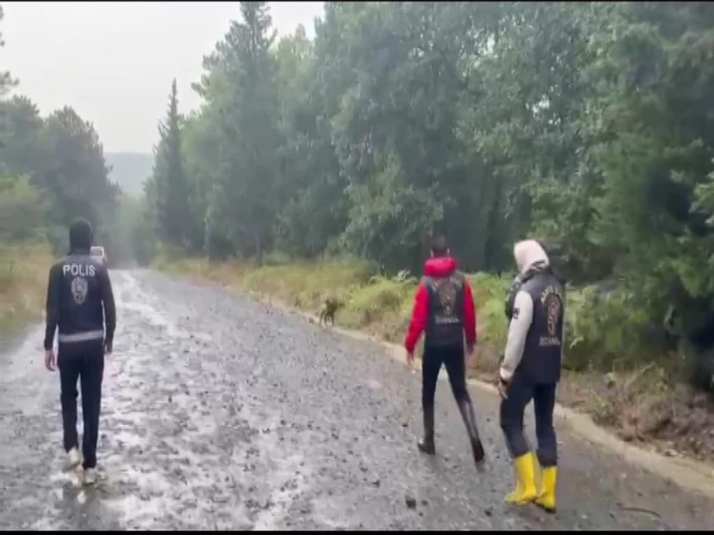 Volkan K., battaniyeye sardığı eşinin cesedini Ayazağa Ormanı'na attı
