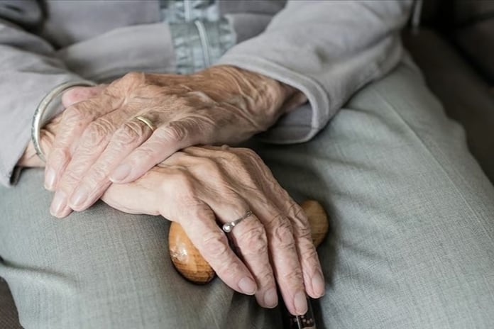 Japonya'da büyükanne kiralama hizmetine büyük ilgi