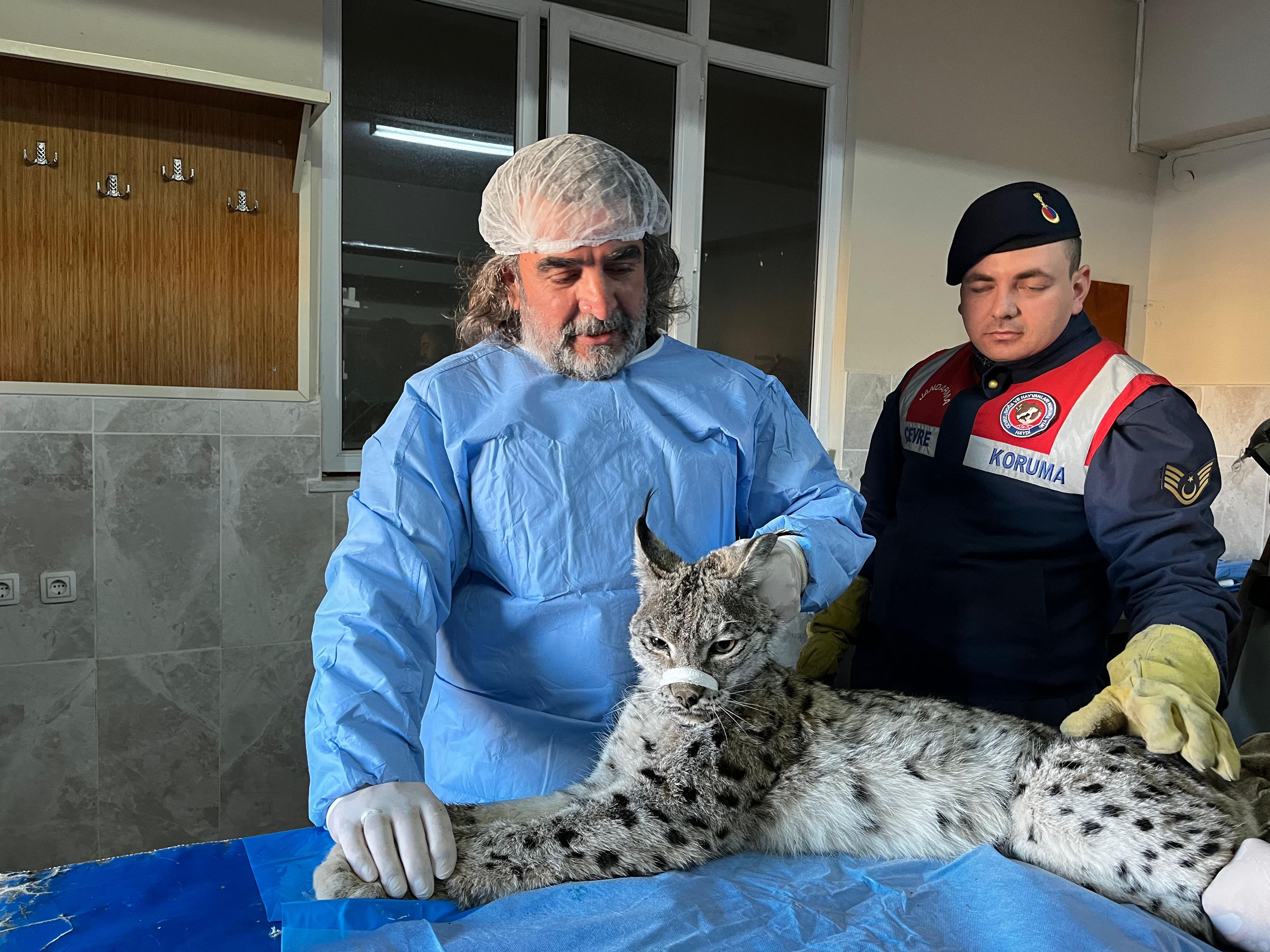 Galeri Fotoğrafı