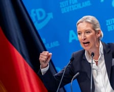 Almanya'da aşırı sağcı AfD'nin hassas verileri sızdırdığı iddia edildi