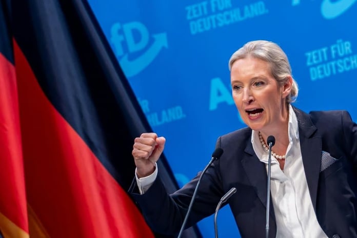Almanya'da aşırı sağcı AfD'nin hassas verileri sızdırdığı iddia edildi