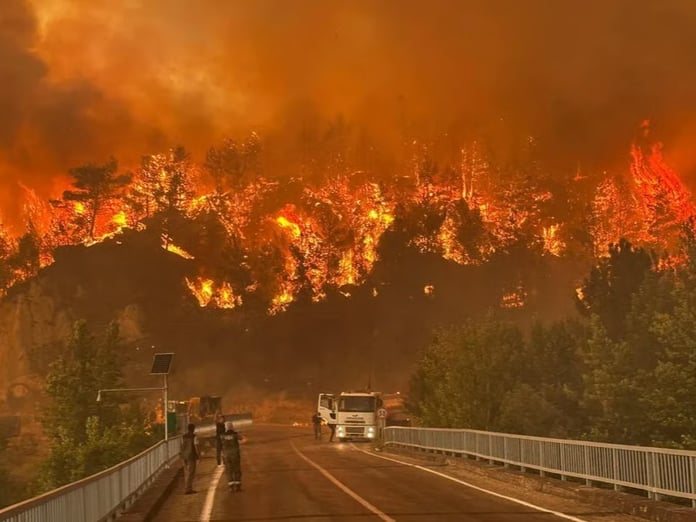 Yurdun dört bir yanında çıkan orman yangınlarına müdahale sürüyor