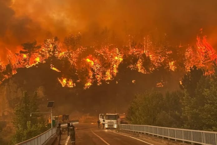 Yurdun dört bir yanında çıkan orman yangınlarına müdahale sürüyor