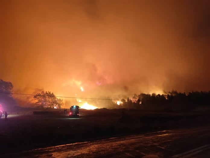Bursa'daki orman yangını 14 saatte söndürüldü