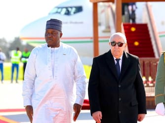 "New Dynamic": Algeria & Niger Revive Relations via Energy