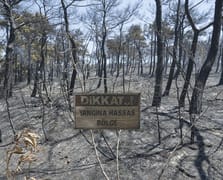 Çanakkale'deki orman yangınında alevler içinde kalan site