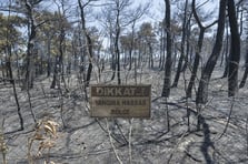 Çanakkale'deki orman yangınında alevler içinde kalan site