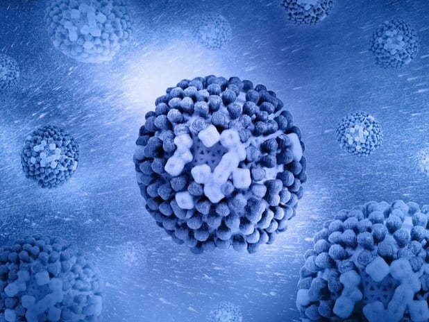 H3N2 virüsü nedir? H3N2 virüsü H3N2 virüsü nedir?