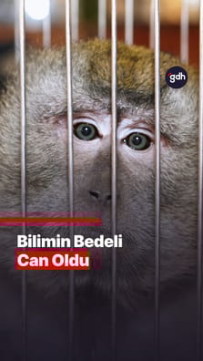 Bilimin Bedeli Can Oldu