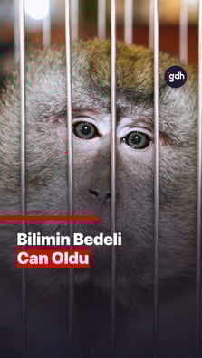 Bilimin Bedeli Can Oldu