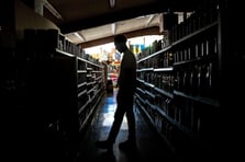 The Guardian: Avrupa'daki 'olağanüstü' elektrik kesintileri neden yaşandı?