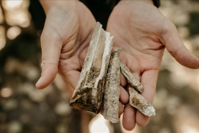 En eski mumyalama tekniğinin 14 bin yıl önce Vietnam'da kullanıldığı ortaya çıktı