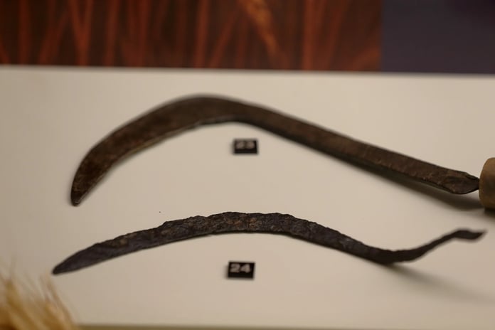 Çorum'da Hititlere ait 2 bin 800 yıllık orak ile Osmanlı dönemi orağı sergileniyor