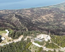 Yangında yok olan ormanlık alan yeniden yeşermeye başladı