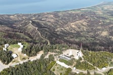 Yangında yok olan ormanlık alan yeniden yeşermeye başladı