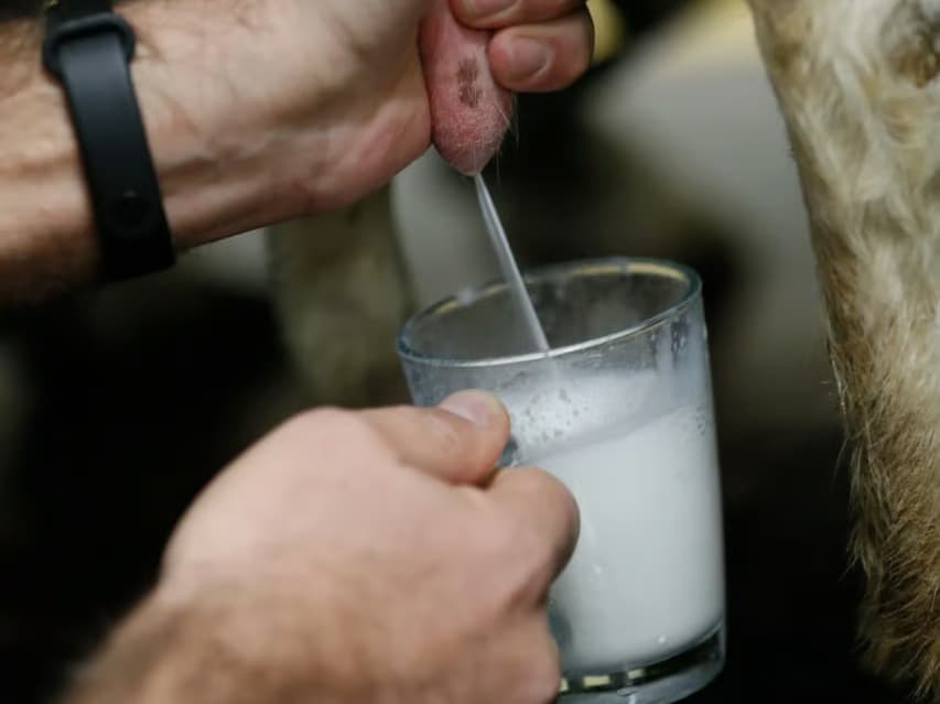 Çiğ süt tavsiye fiyatı açıklandı 