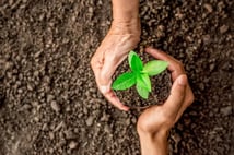 nSosyal fidan dikene PS5 ve telefon hediye ediyor: Yerli platform milli altyapıya geçti