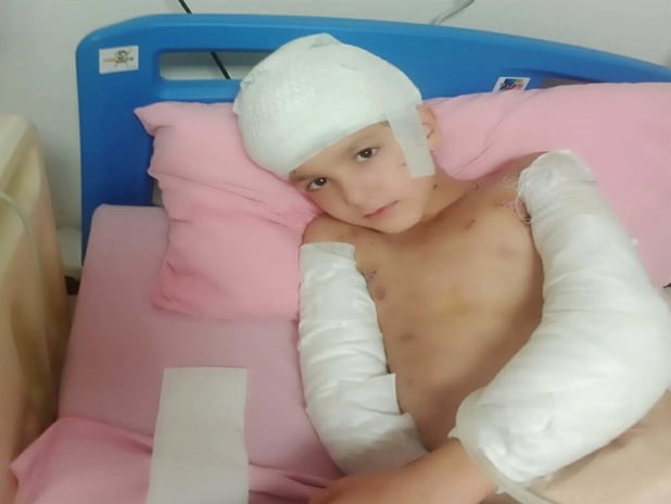 Ankara’da başıboş köpek saldırısında emsal karar