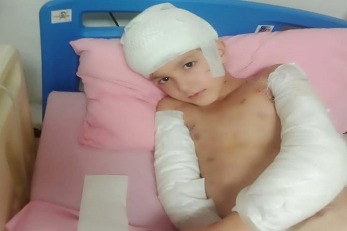 Ankara’da başıboş köpek saldırısında emsal karar