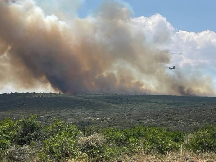 ABD'de Büyük Kanyon'da orman yangını: 1 günde 20 kat büyüdü