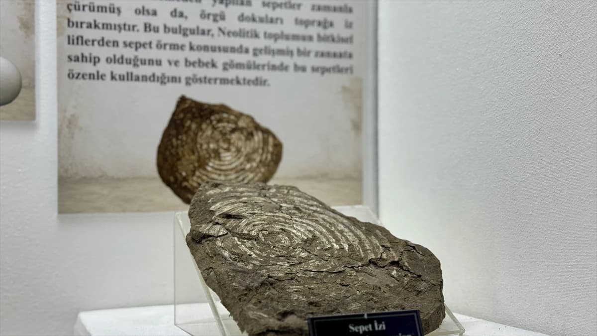 8 bin yıllık sırlar gün yüzünde: Çatalhöyük’ün "Saklı Mirası" Konya’da sergileniyor