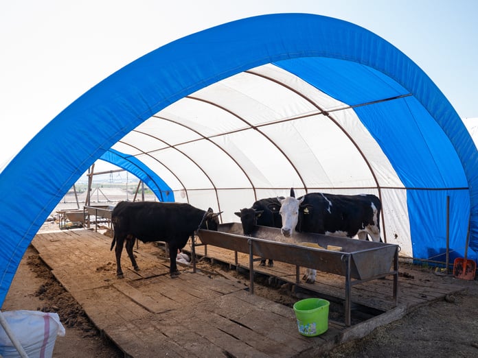 Tarım ve Orman Bakanlığı'ndan yapay et iddialarına yalanlama